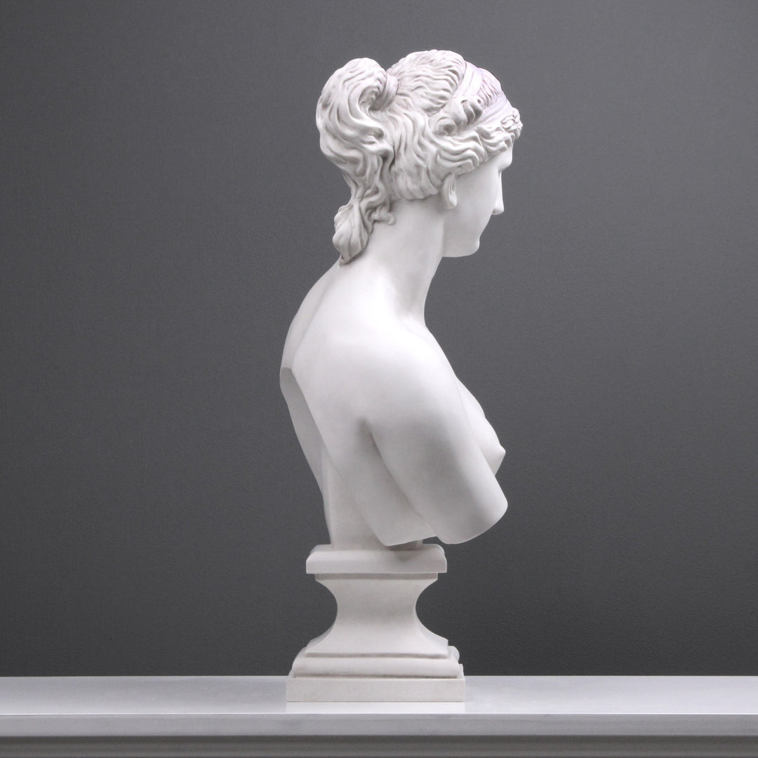 Aphrodite Büste modern