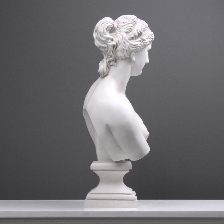 Aphrodite Büste modern