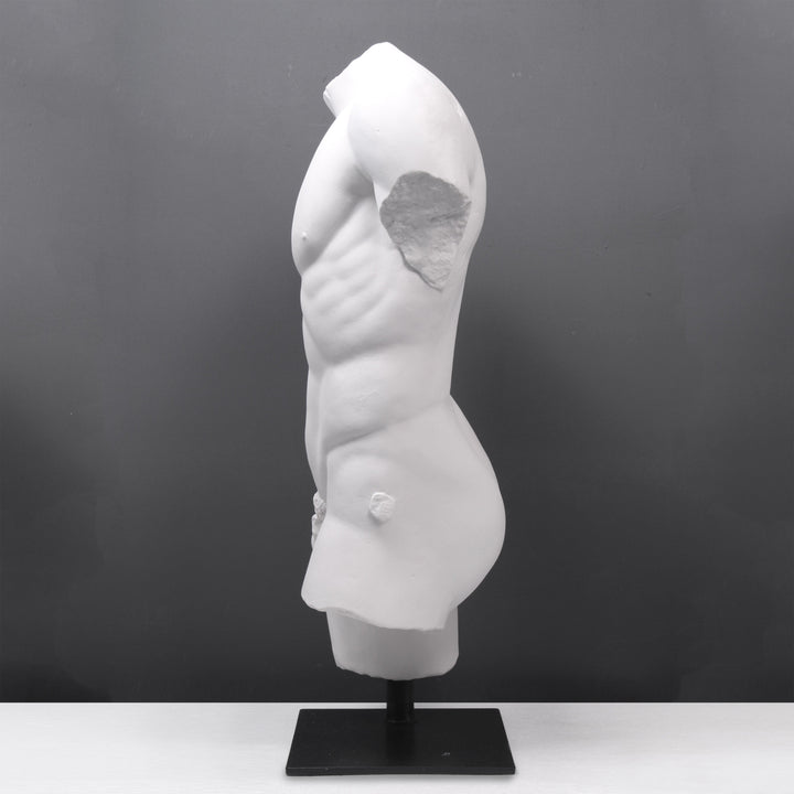 Maennlicher Torso Lebensgross auf Sockel