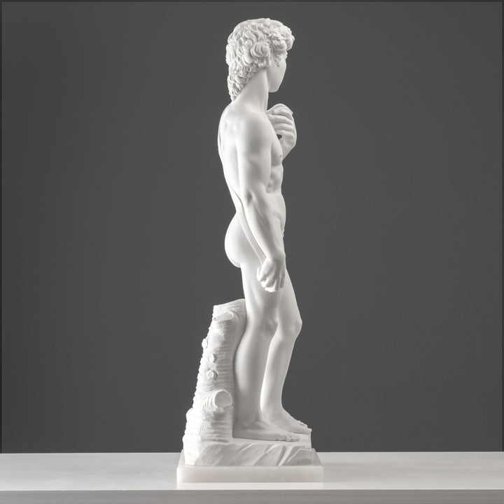 Michelangelos David Statue (Gross)