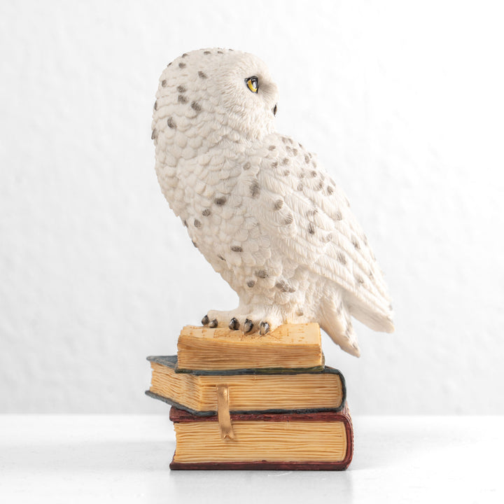 Schneeeule auf einem Bücherstapel (Kunstharz-Statue)