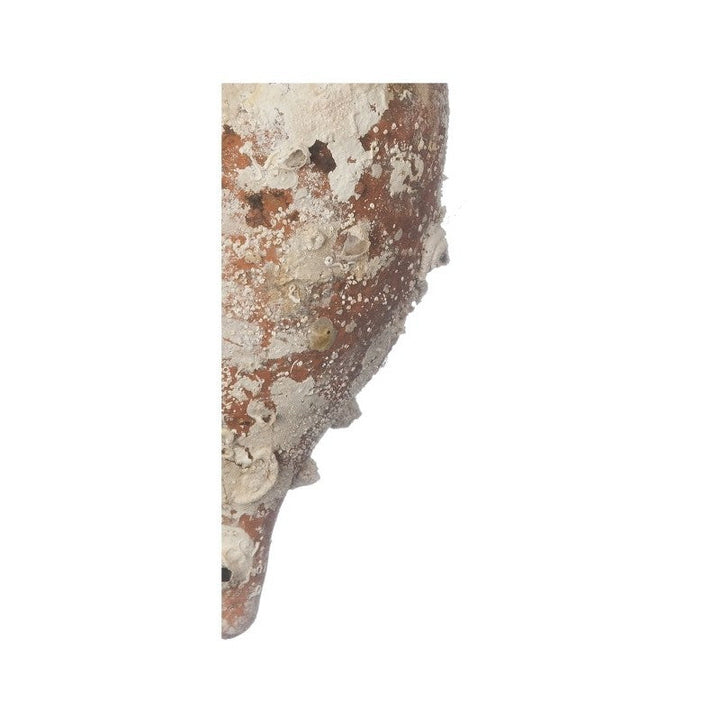 Italica' Antike Meeresamphore