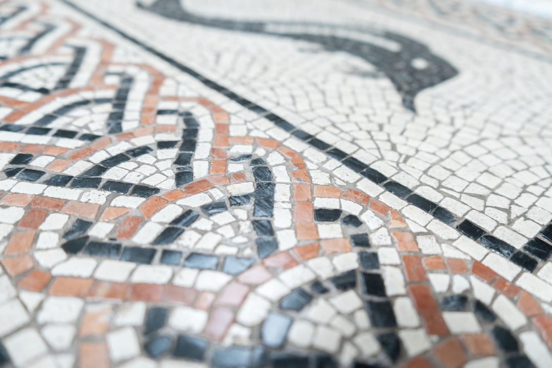 Delphin Marmor-Mosaik