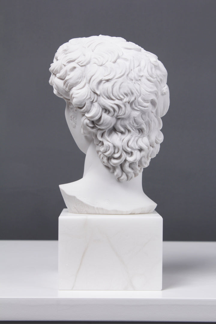 David Büste (Von Michelangelo)