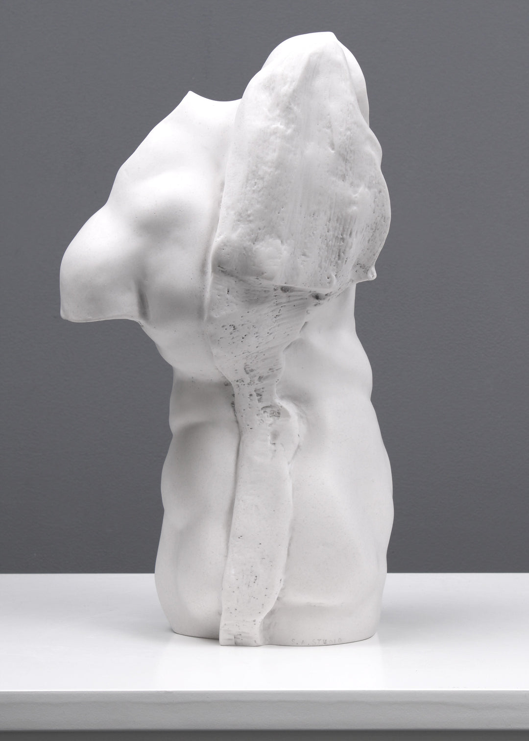 Adonis Statue Studie eines männlichen Torsos (Klein)