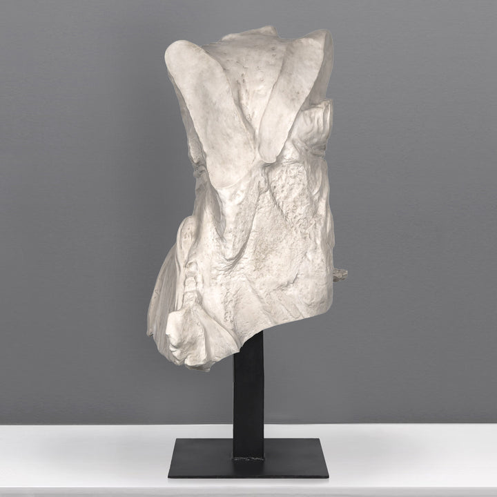Nike Torso Lebensgrosse Statue – Gefluegelter Sieg von Samothrake