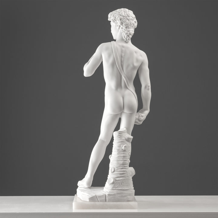 Michelangelos David Statue (Gross)