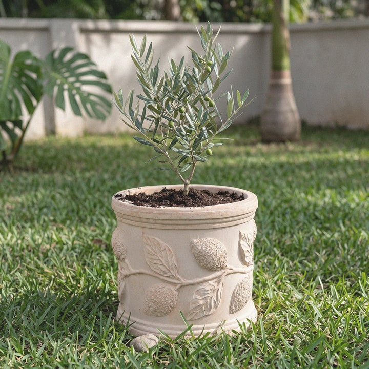 Terrakotta Pflanzkubel mit Zitronenzweig Relief (Zylindrisch)