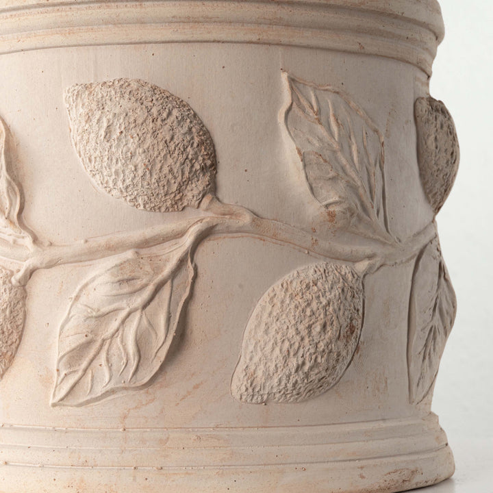 Terrakotta Pflanzkubel mit Zitronenzweig Relief (Zylindrisch)