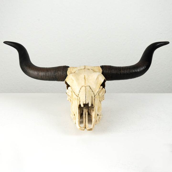 Longhorn Schädel Wandrelief (Harz Skulptur)