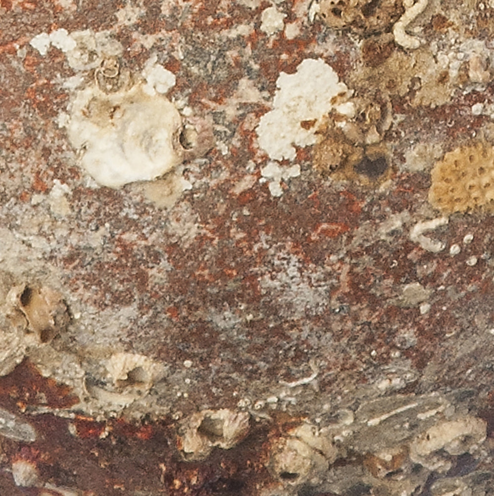 Hadriaticum' Antike Meeresamphore
