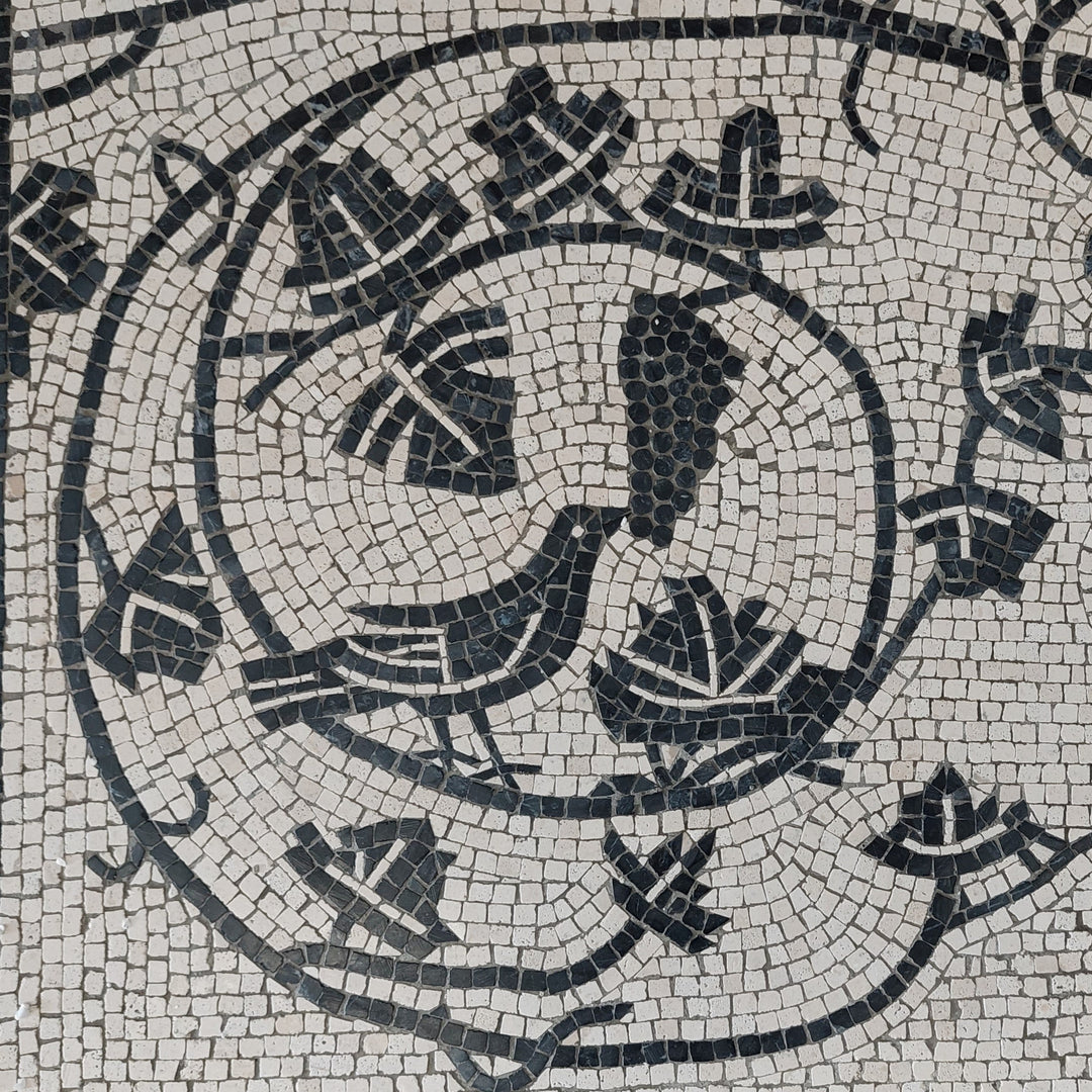 Reben im Krater Marmor-Mosaik