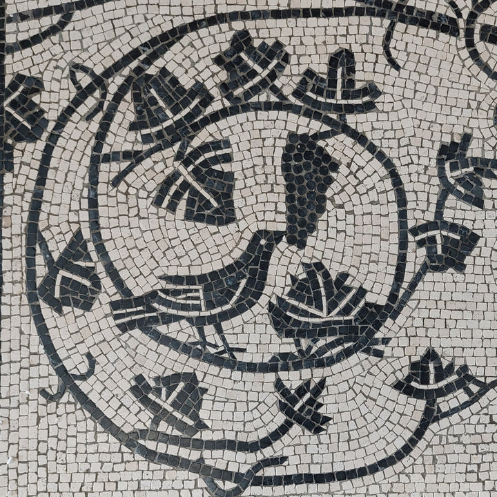 Reben im Krater Marmor-Mosaik