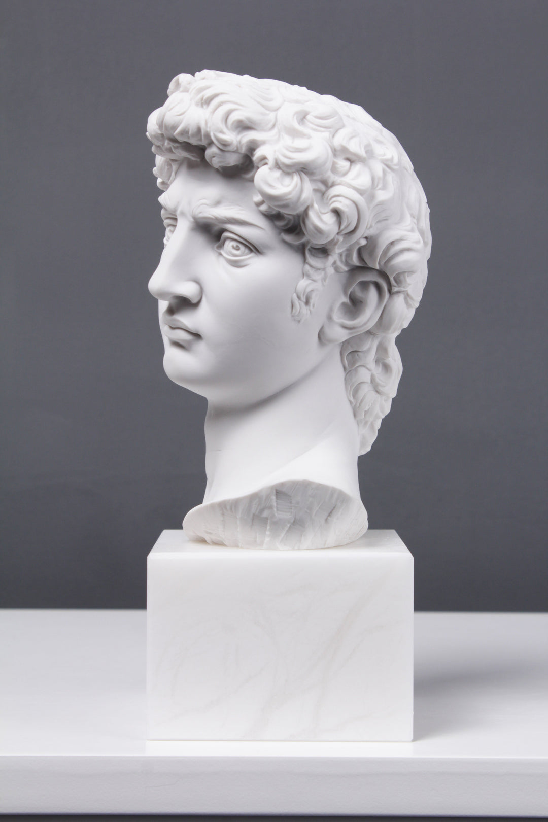 David Büste (Von Michelangelo)
