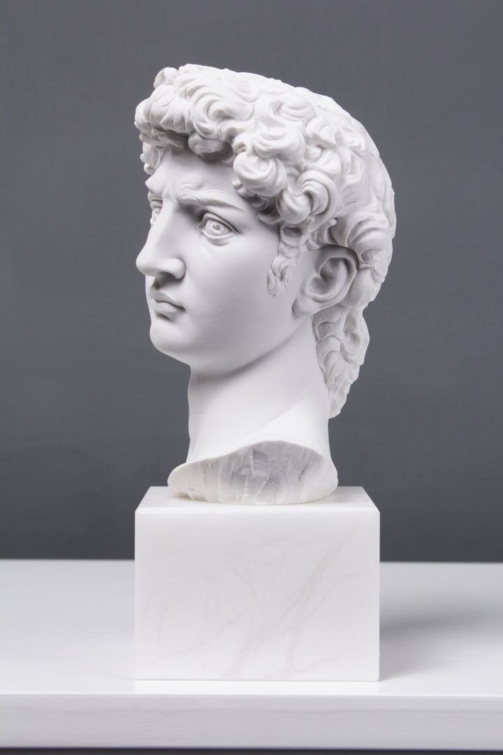 David Büste (Von Michelangelo)