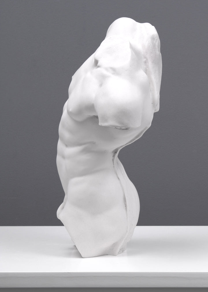 Adonis Statue Studie eines männlichen Torsos (Klein)