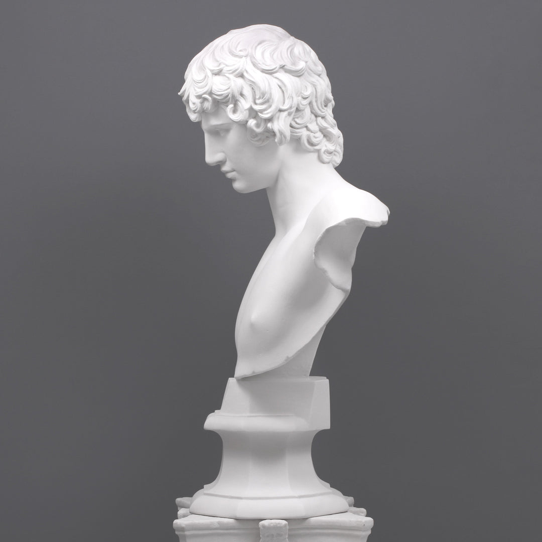 Antinous Bueste (Gross)