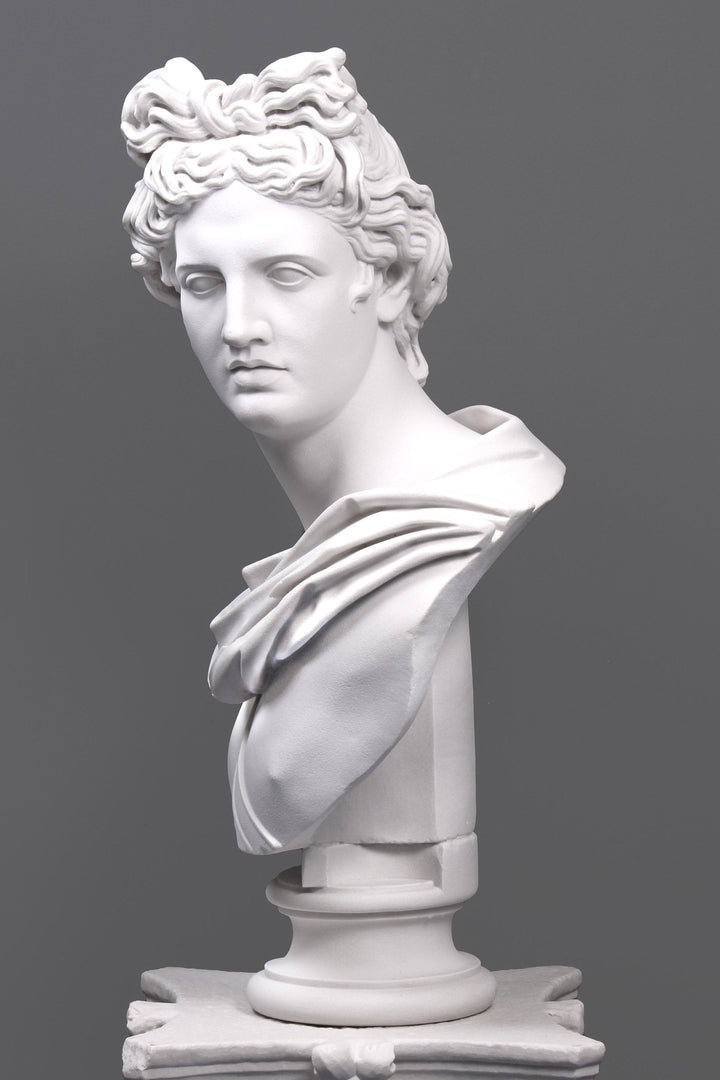 Apollo Belvedere Bueste (Gross)