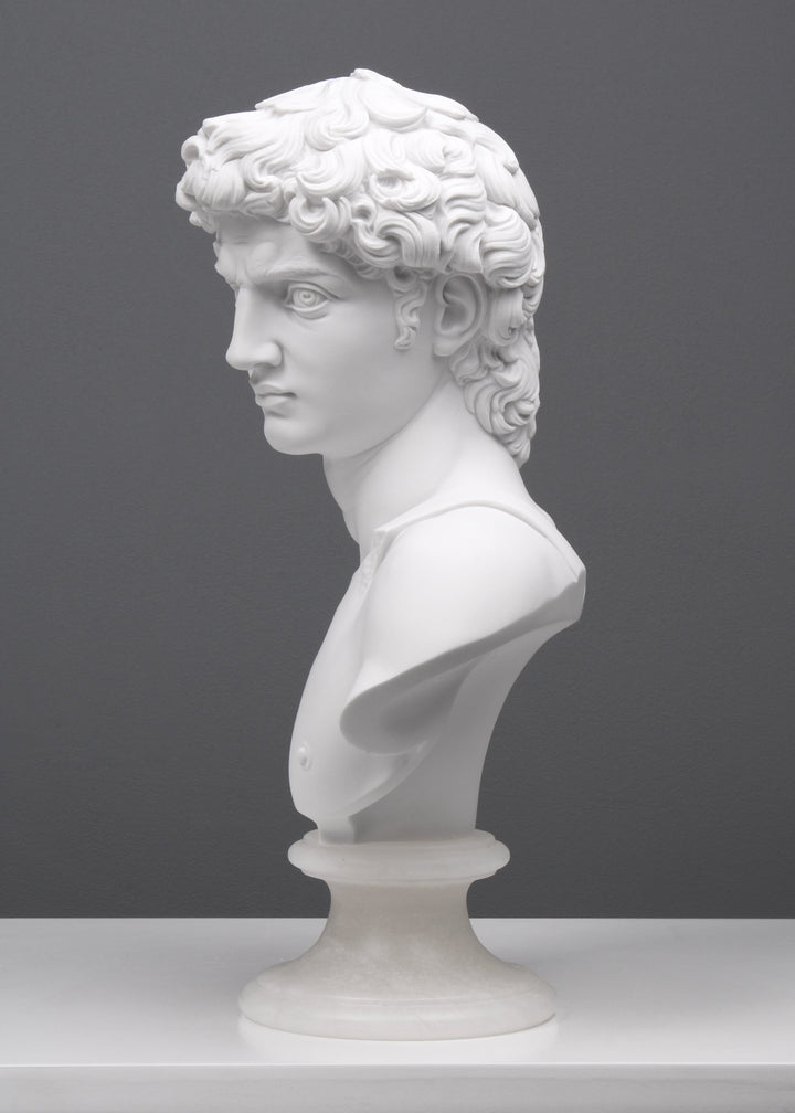 Büste von Michelangelos David Statue