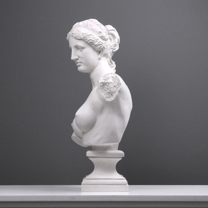 Aphrodite Büste modern