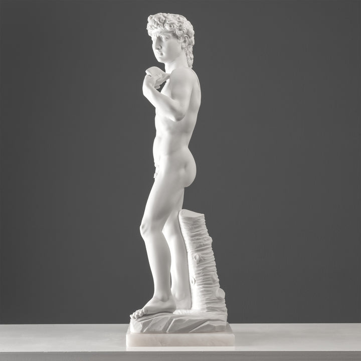 Michelangelos David Statue (Gross)