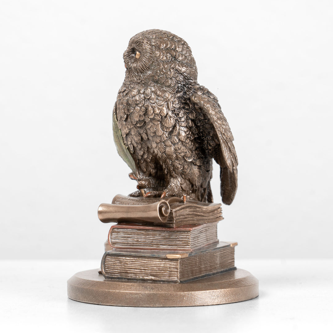 Gelehrte Eule auf Büchern (Kaltgussbronze-Skulptur)