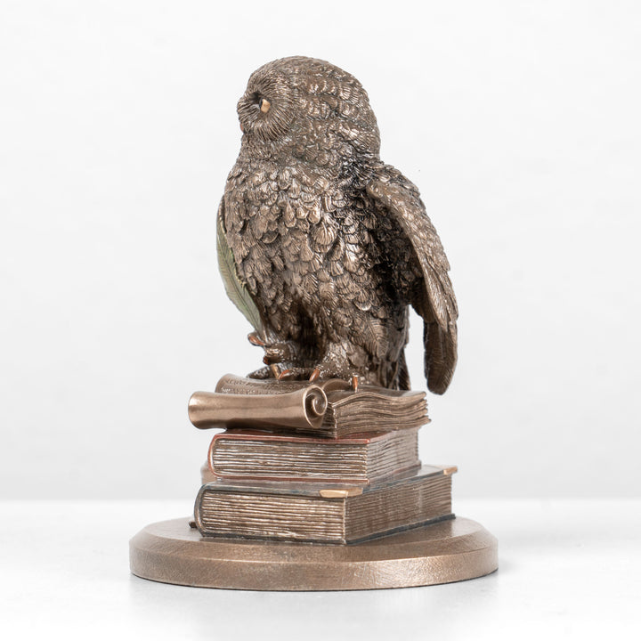 Gelehrte Eule auf Büchern (Kaltgussbronze-Skulptur)