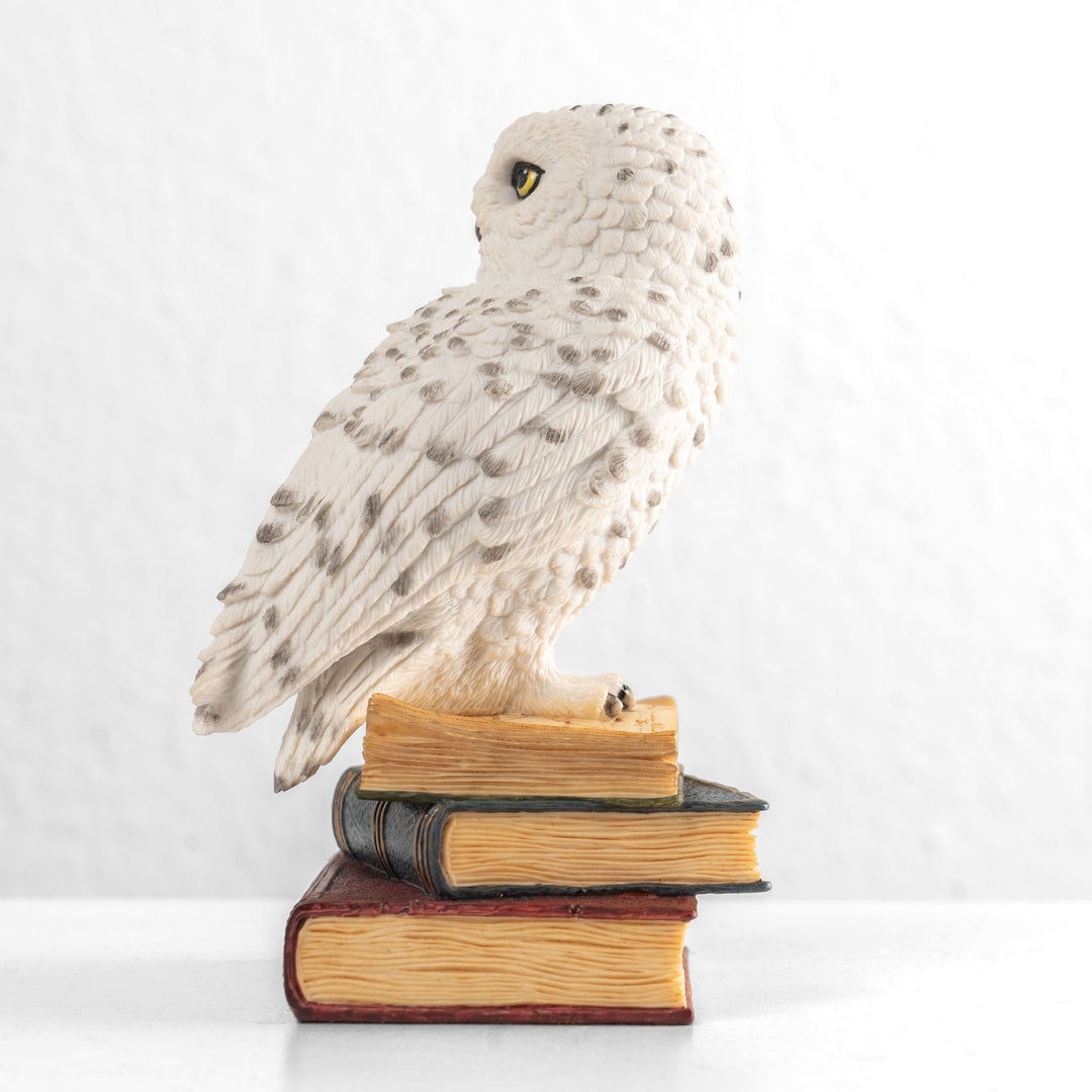 Schneeeule auf einem Bücherstapel (Kunstharz-Statue)