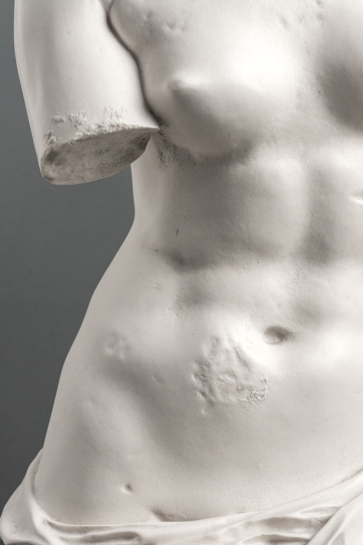Venus von Milo Statue (Antikfinish)