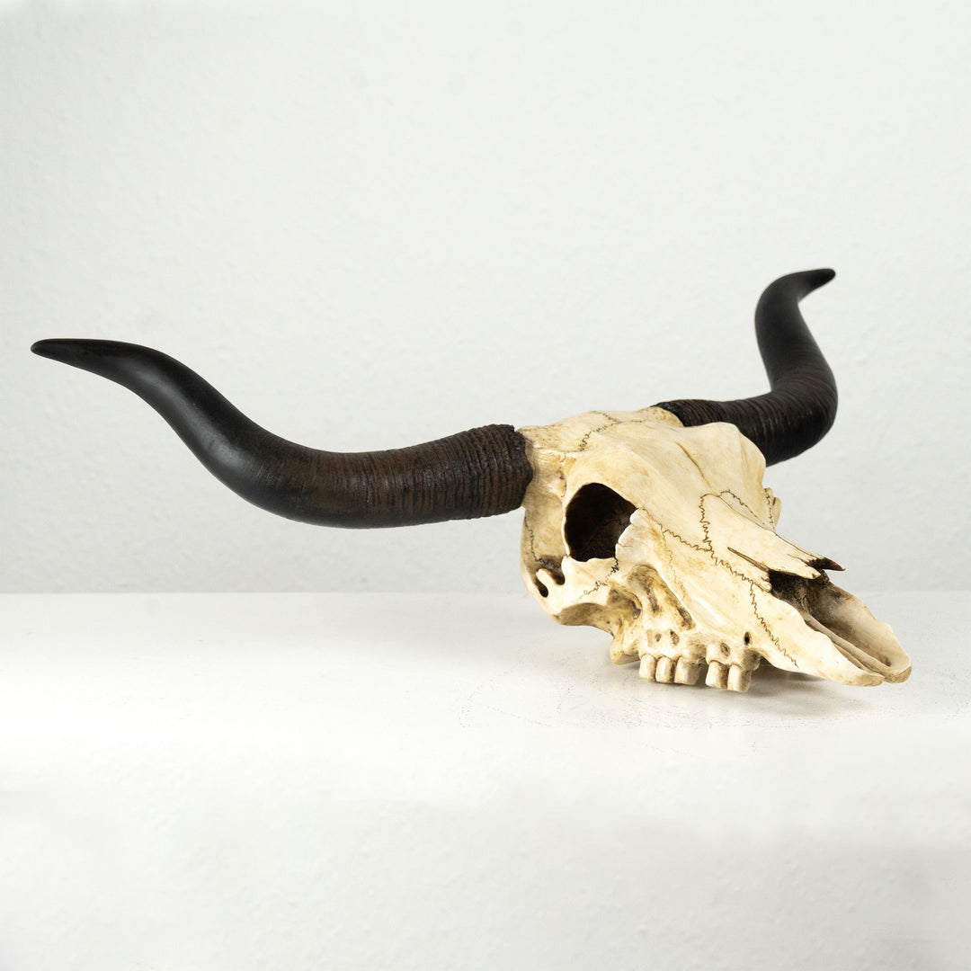 Longhorn Schädel Wandrelief (Harz Skulptur)