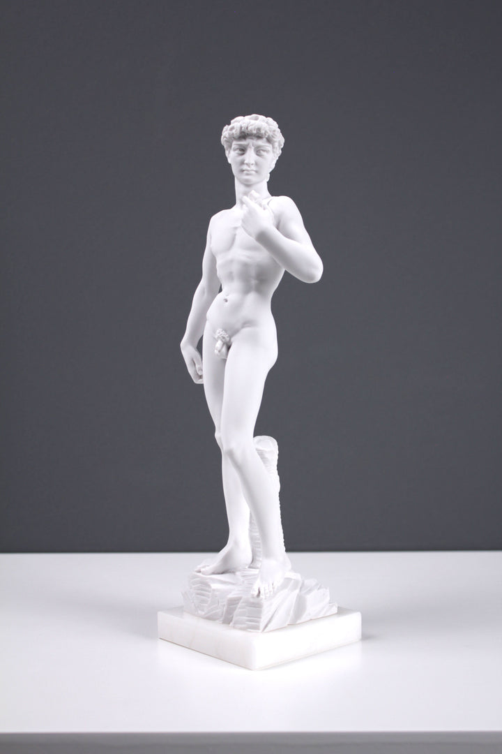 Michelangelo David Statue