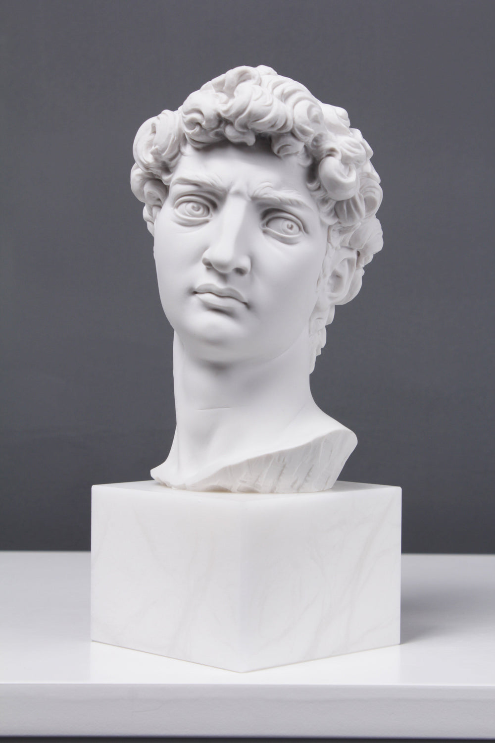 David Büste (Von Michelangelo)
