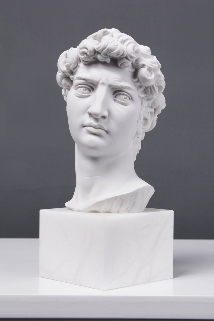 David Büste (Von Michelangelo)