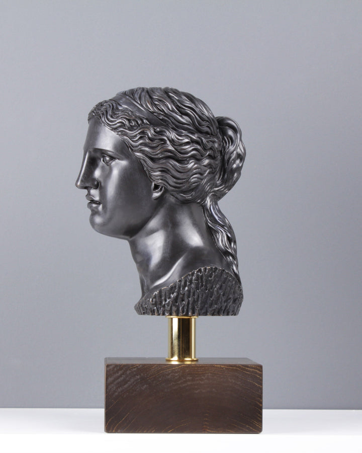 Büste der Aphrodite - Olympische Gott (Bronze)