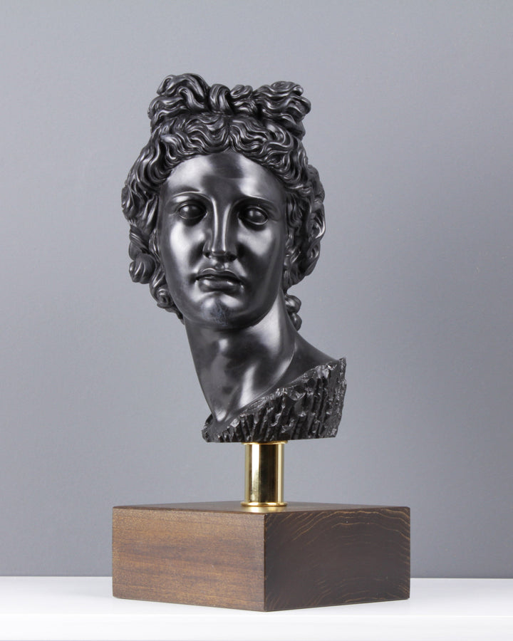 Büste des Apollon - Olympische Gott (Bronze)