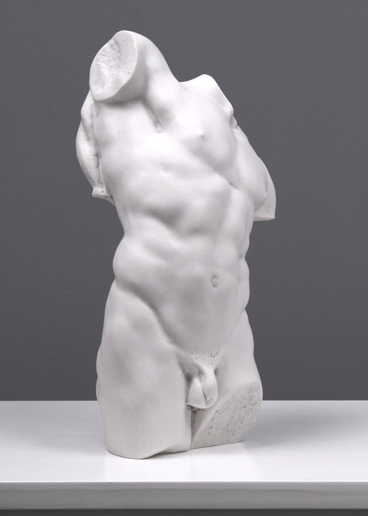 Adonis Statue Studie eines männlichen Torsos (Klein)