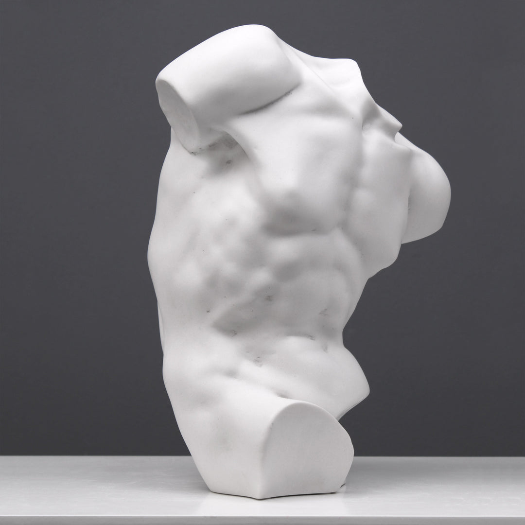 Männlicher Torso Statue (Studie)