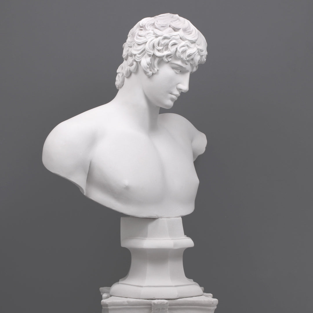 Antinous Bueste (Gross)