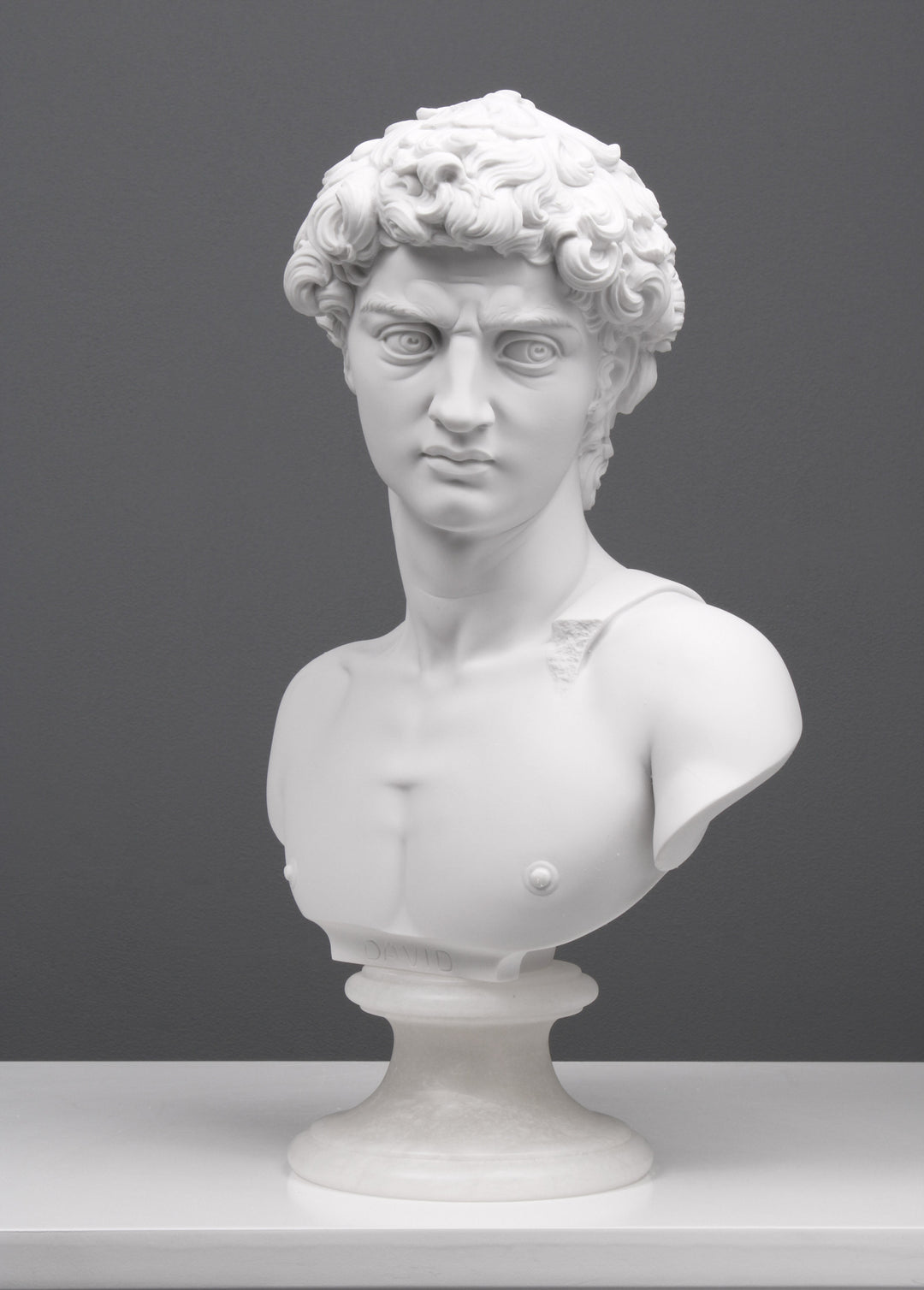 Büste von Michelangelos David Statue