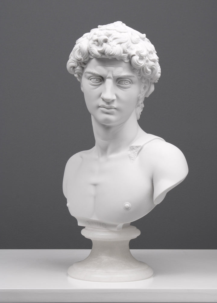 Büste von Michelangelos David Statue