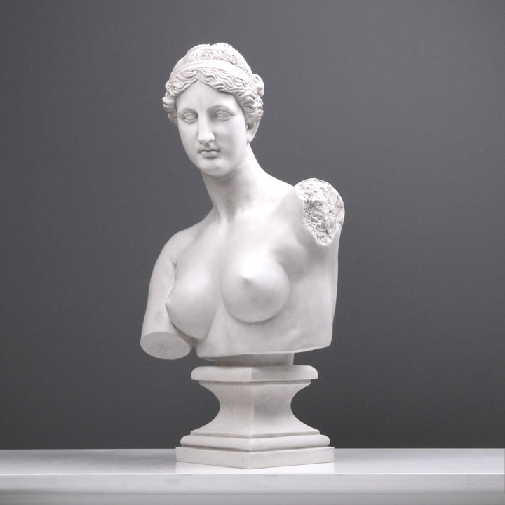 Aphrodite Büste modern