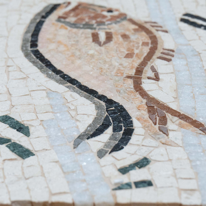 Fisch Impluvium Marmor-Mosaik
