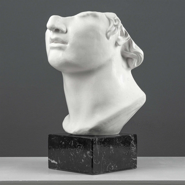 Apollo Bustenfragment Skulptur auf Schwarzem Marmorsockel (Kolossaler Kopf eines Jünglings)