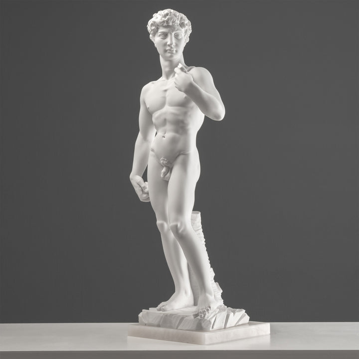 Michelangelos David Statue (Gross)