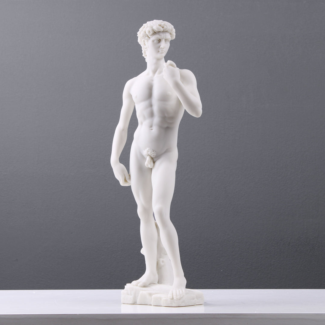 David von Michelangelo (Weiße Skulptur)
