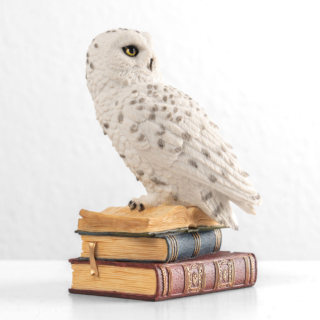Schneeeule auf einem Bücherstapel (Kunstharz-Statue)