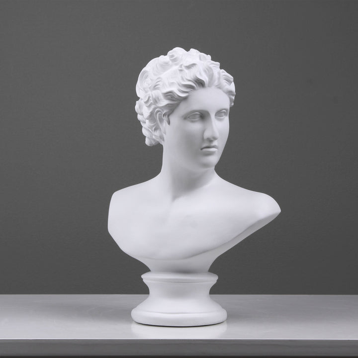 Venus Büste von Canova (Weiß)