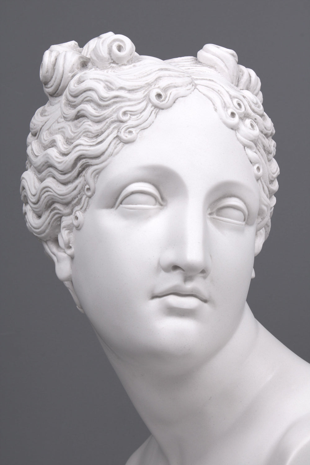 Venus Büste Göttin der Liebe (Groß)