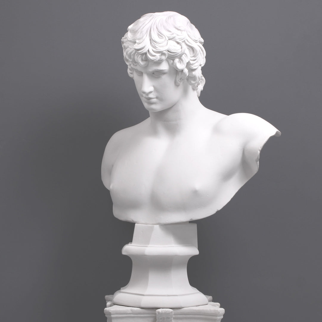 Antinous Bueste (Gross)