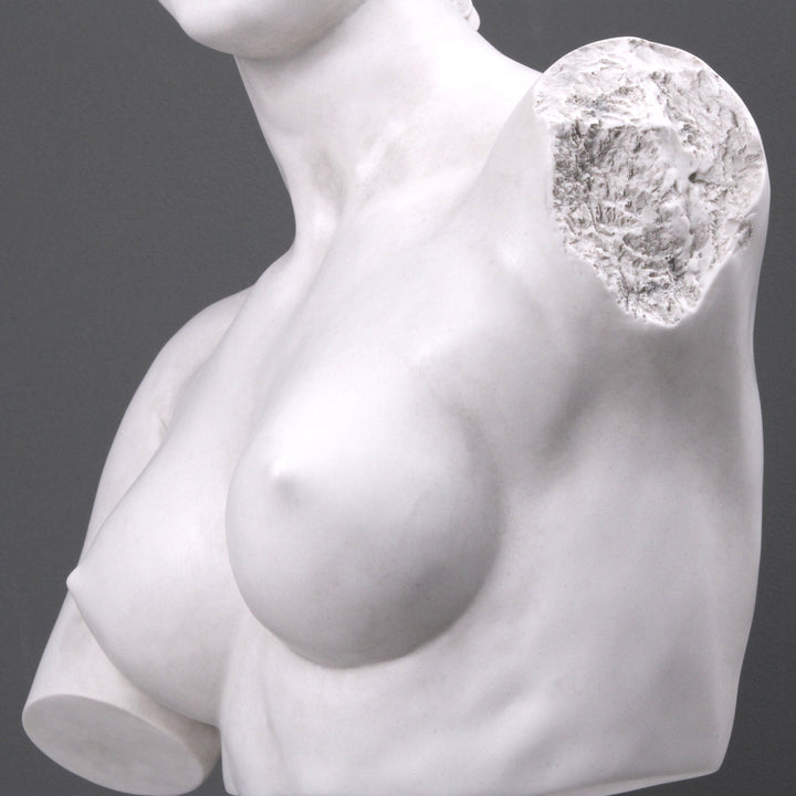 Aphrodite Büste modern